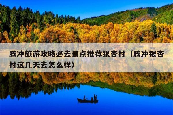 腾冲旅游攻略必去景点推荐银杏村（腾冲银杏村这几天去怎么样）