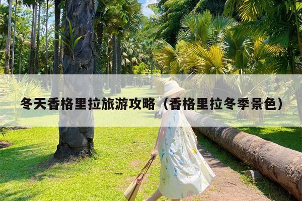 冬天香格里拉旅游攻略（香格里拉冬季景色）