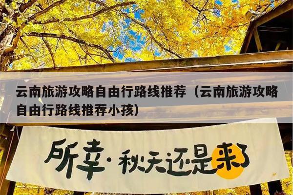云南旅游攻略自由行路线推荐（云南旅游攻略自由行路线推荐小孩）