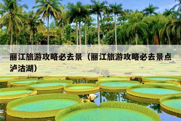 丽江旅游攻略必去景（丽江旅游攻略必去景点泸沽湖）