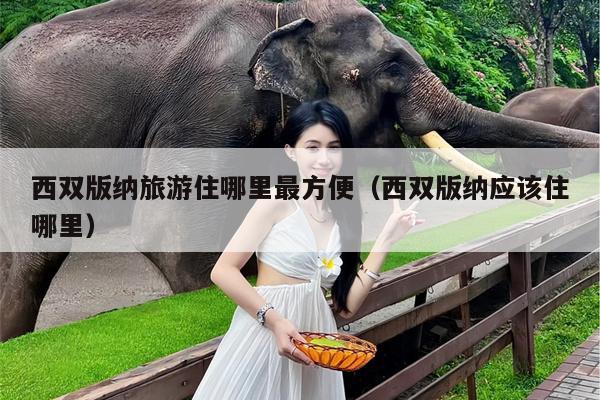 西双版纳旅游住哪里最方便（西双版纳应该住哪里）