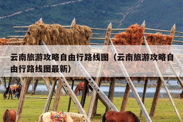 云南旅游攻略自由行路线图（云南旅游攻略自由行路线图最新）