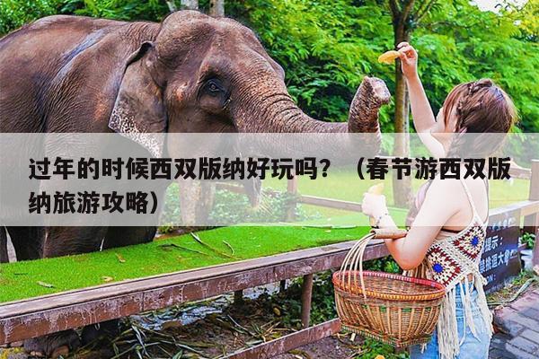 过年的时候西双版纳好玩吗？（春节游西双版纳旅游攻略）