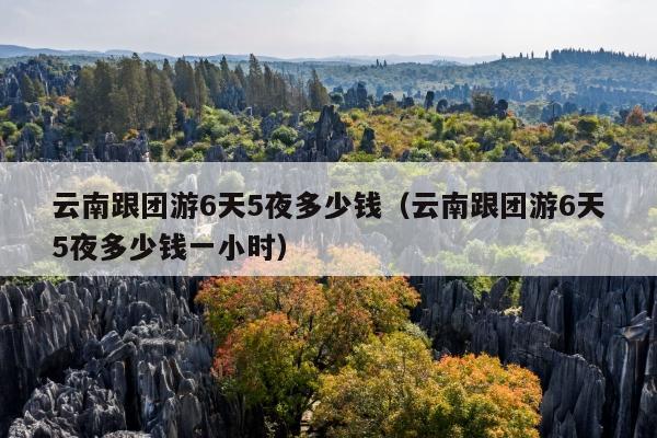 云南跟团游6天5夜多少钱（云南跟团游6天5夜多少钱一小时）