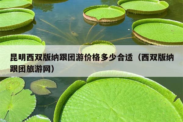昆明西双版纳跟团游价格多少合适（西双版纳跟团旅游网）