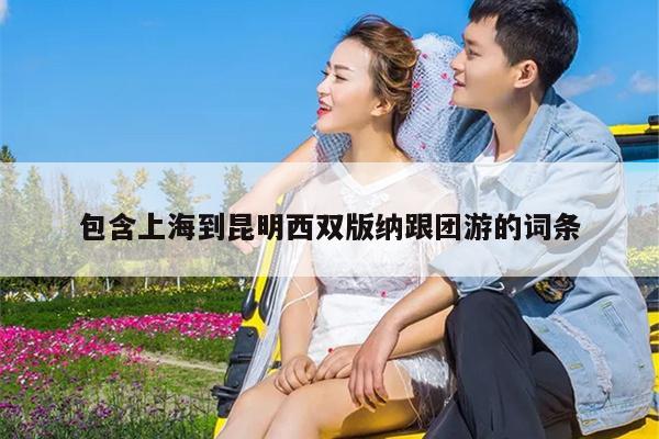 包含上海到昆明西双版纳跟团游的词条