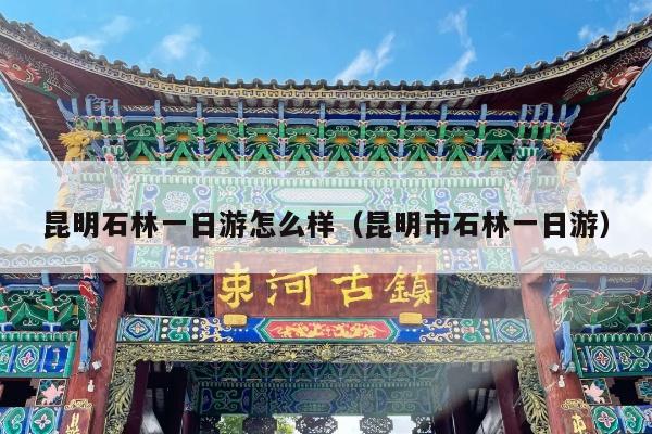昆明石林一日游怎么样（昆明市石林一日游）