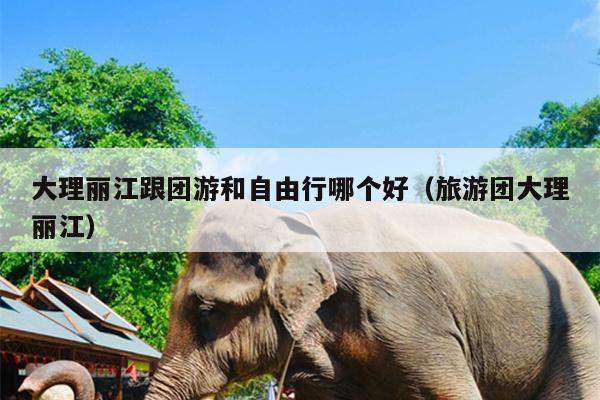 大理丽江跟团游和自由行哪个好（旅游团大理丽江）