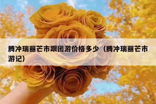 腾冲瑞丽芒市跟团游价格多少（腾冲瑞丽芒市游记）