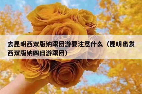 去昆明西双版纳跟团游要注意什么（昆明出发西双版纳四日游跟团）