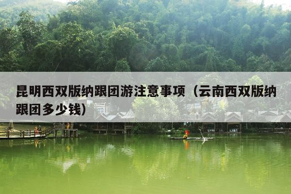昆明西双版纳跟团游注意事项（云南西双版纳跟团多少钱）
