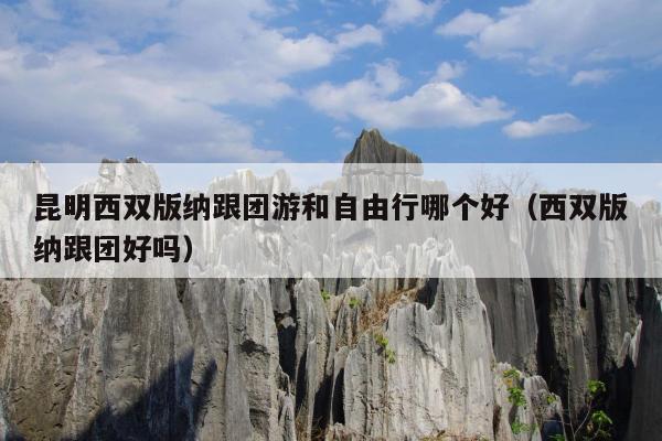 昆明西双版纳跟团游和自由行哪个好（西双版纳跟团好吗）