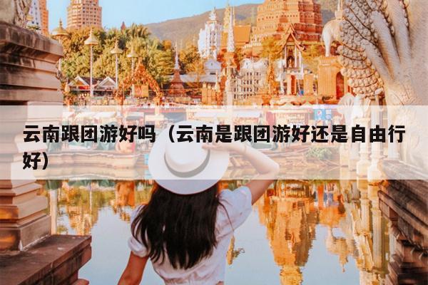 云南跟团游好吗（云南是跟团游好还是自由行好）