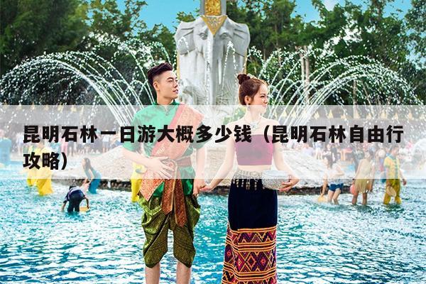 昆明石林一日游大概多少钱（昆明石林自由行攻略）