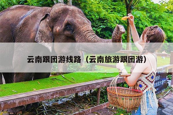 云南跟团游线路（云南旅游跟团游）
