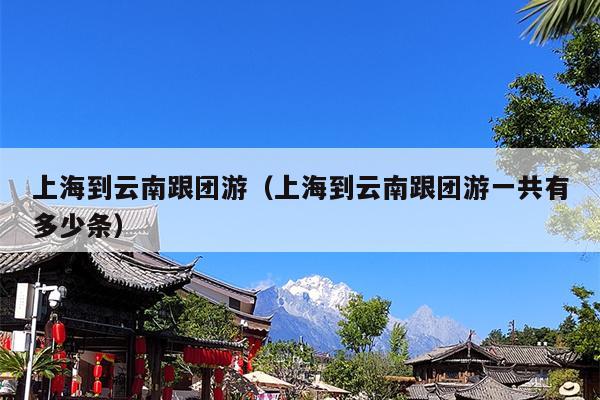 上海到云南跟团游（上海到云南跟团游一共有多少条）