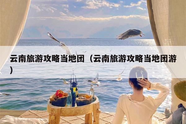 云南旅游攻略当地团（云南旅游攻略当地团游）