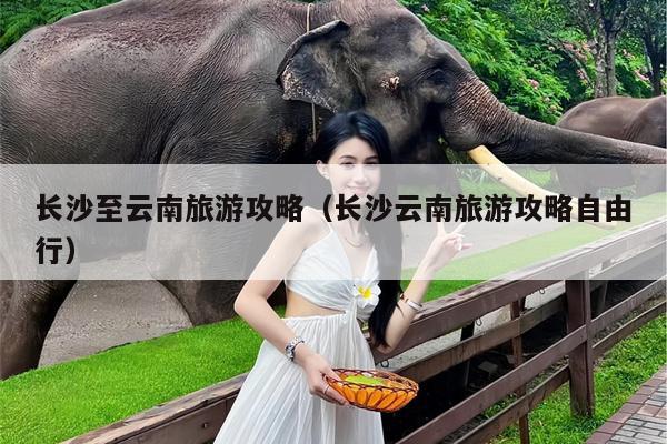 长沙至云南旅游攻略（长沙云南旅游攻略自由行）