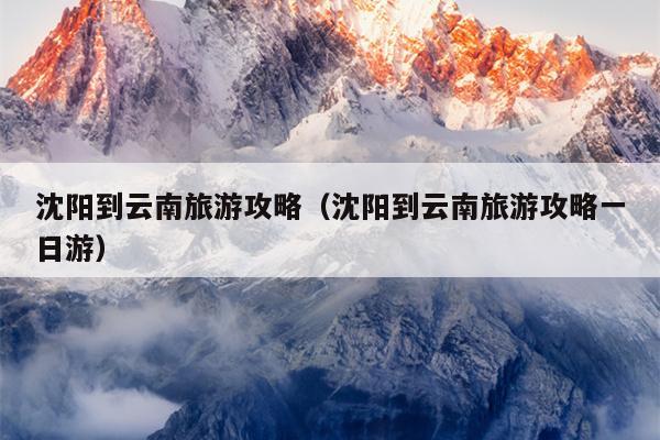 沈阳到云南旅游攻略（沈阳到云南旅游攻略一日游）