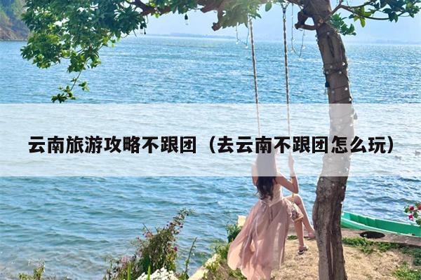 云南旅游攻略不跟团（去云南不跟团怎么玩）