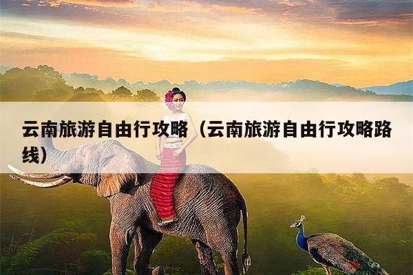 云南旅游自由行攻略（云南旅游自由行攻略路线）