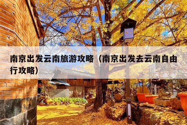 南京出发云南旅游攻略（南京出发去云南自由行攻略）