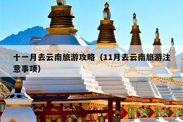 十一月去云南旅游攻略（11月去云南旅游注意事项）