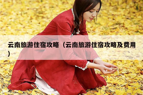 云南旅游住宿攻略（云南旅游住宿攻略及费用）