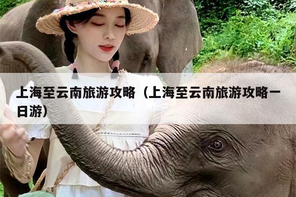 上海至云南旅游攻略（上海至云南旅游攻略一日游）