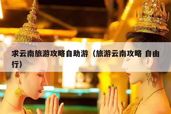 求云南旅游攻略自助游（旅游云南攻略 自由行）
