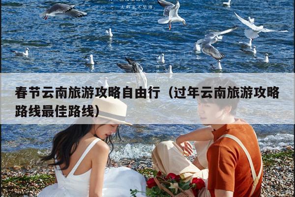 春节云南旅游攻略自由行（过年云南旅游攻略路线最佳路线）