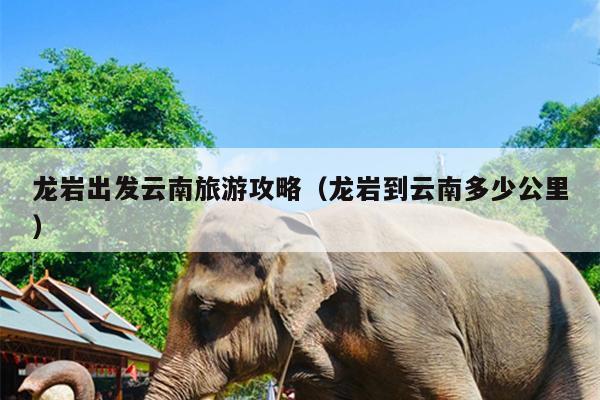 龙岩出发云南旅游攻略（龙岩到云南多少公里）
