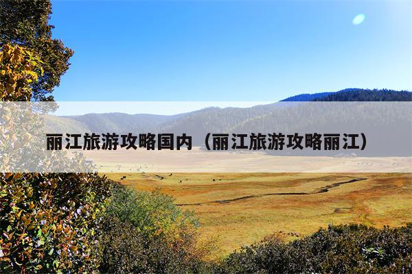 丽江旅游攻略国内（丽江旅游攻略丽江）