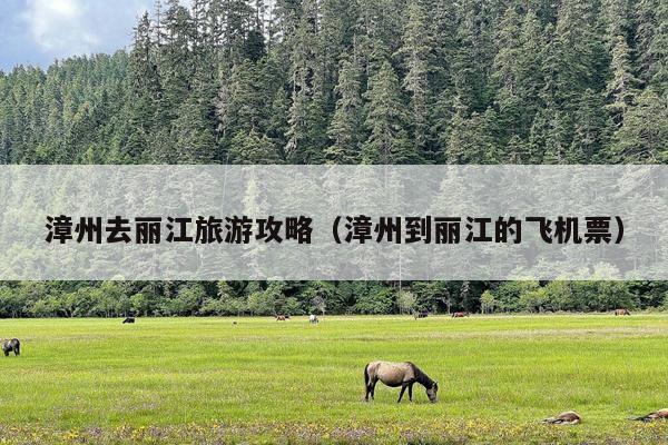 漳州去丽江旅游攻略（漳州到丽江的飞机票）