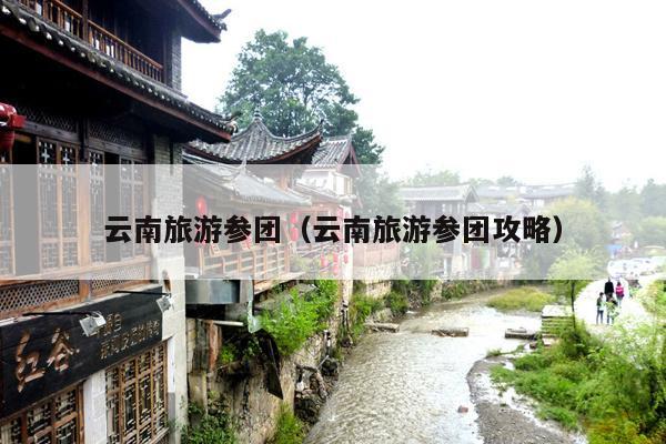 云南旅游参团（云南旅游参团攻略）