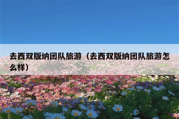 去西双版纳团队旅游（去西双版纳团队旅游怎么样）