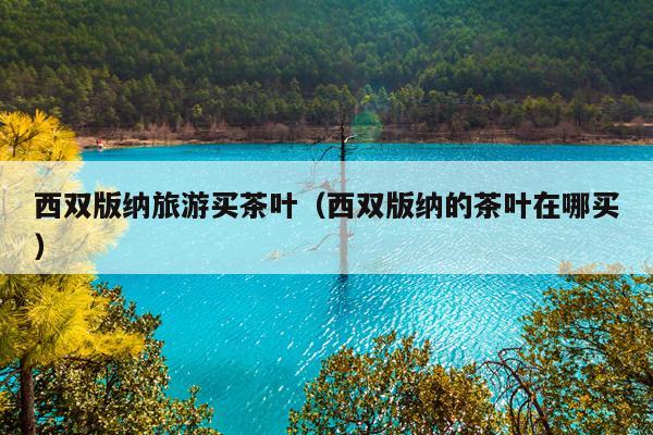 西双版纳旅游买茶叶（西双版纳的茶叶在哪买）