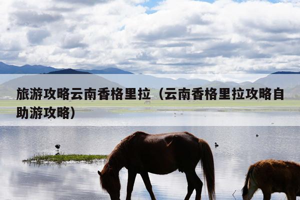 旅游攻略云南香格里拉（云南香格里拉攻略自助游攻略）