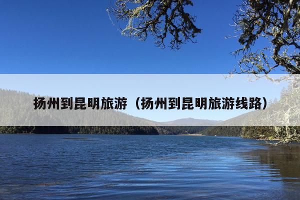 扬州到昆明旅游（扬州到昆明旅游线路）