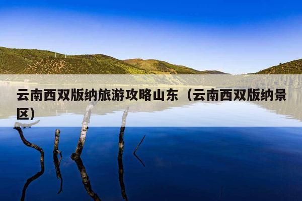 云南西双版纳旅游攻略山东（云南西双版纳景区）