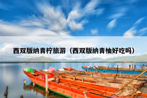 西双版纳青柠旅游（西双版纳青柚好吃吗）