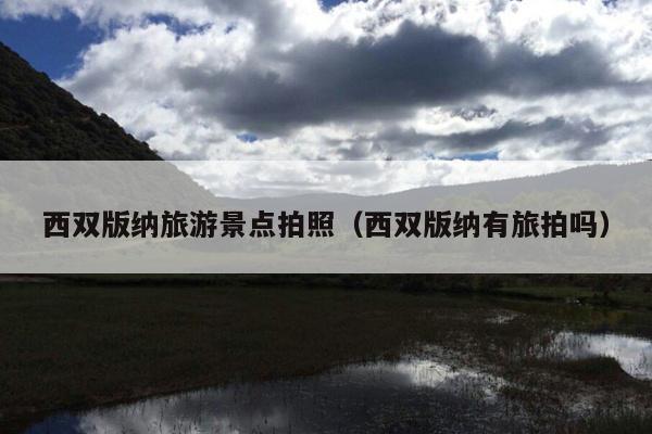 西双版纳旅游景点拍照（西双版纳有旅拍吗）