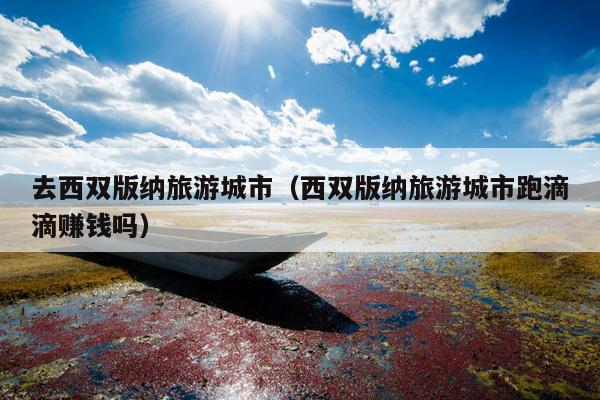 去西双版纳旅游城市（西双版纳旅游城市跑滴滴赚钱吗）