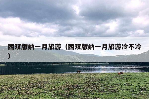 西双版纳一月旅游（西双版纳一月旅游冷不冷）