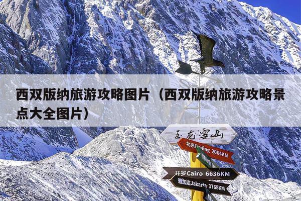 西双版纳旅游攻略图片（西双版纳旅游攻略景点大全图片）