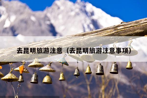 去昆明旅游注意（去昆明旅游注意事项）
