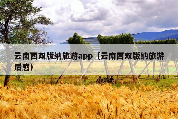 云南西双版纳旅游app（云南西双版纳旅游后感）