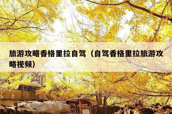 旅游攻略香格里拉自驾（自驾香格里拉旅游攻略视频）
