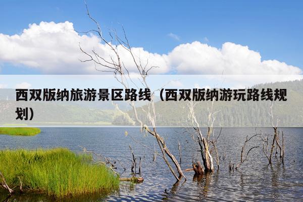西双版纳旅游景区路线（西双版纳游玩路线规划）