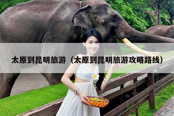 太原到昆明旅游（太原到昆明旅游攻略路线）